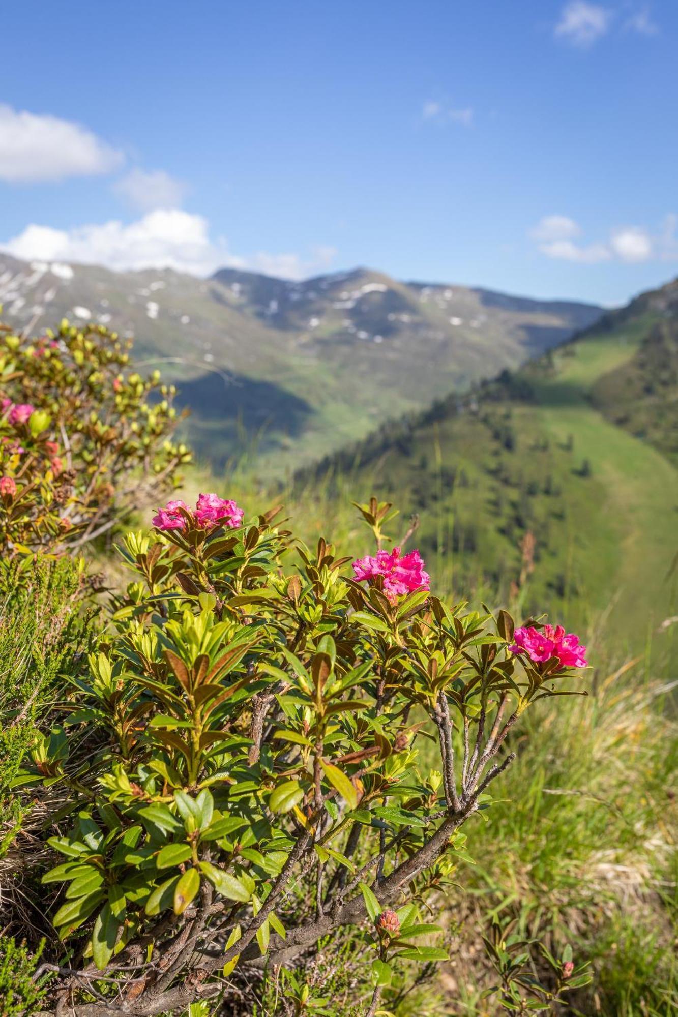 Haus Martina In Hochfuegen - Ohne Verpflegung Buitenkant foto